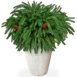 30Pcs Christmas Norfolk Pine Branches with Pine Cones,Realistic Norfolk Pine Stems Artificial Pine Branch Christmas Greenery Picks Needles Sprigs for Vase DIY Craft Xmas Wreath Garland Home Decor