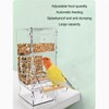 Automatic Parrot Feeder Prevent Spillage and Splashing Easy Installation Acrylic