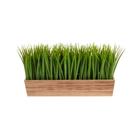 Nearly Natural 20in. Vanilla Grass Artificial Plant in Decorative Planter