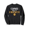 Lab Retriever owned by a Labrador Sweatshirt