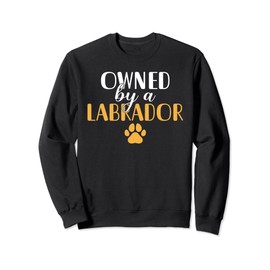 Lab Retriever owned by a Labrador Sweatshirt