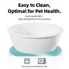 Elevated Raised Cat Dog Bowls - 15° Tilted 3 Heights