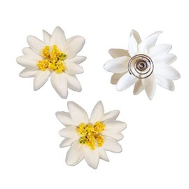 Alpenflüstern Costume Hair Curlies Edelweiss Fabric Flowers Set of 3 (Cream/White) ADV114