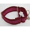 Dazzber 1.5" Martingale Dog Collar, Escape-Proof & Anti-Slip, Extra Strong