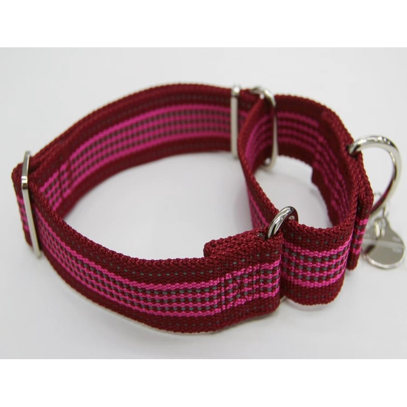 Dazzber 1.5" Martingale Dog Collar, Escape-Proof & Anti-Slip, Extra Strong