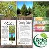 Cedar, Dogwood, Pine, Redwood, Spruce, Tree Seed by MySeeds.Co, You