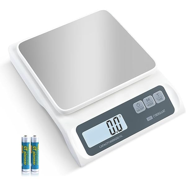 13lb/0.1g Precision Digital Food Scale - Meal Prep Kitchen Baking