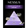 NEXXUS Kerafix Repair Shampoo, Refill, 11.8 oz (320 g)