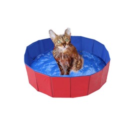 Foldable Dog Pool, Dog Swimming Pool, Environmentally Friendly PVC Non-Slip Paddling Pool with Drain Valve, Summer Swimming Pool for Dogs, Cats (50 x 8 cm (19.68 x 3.15 inches)