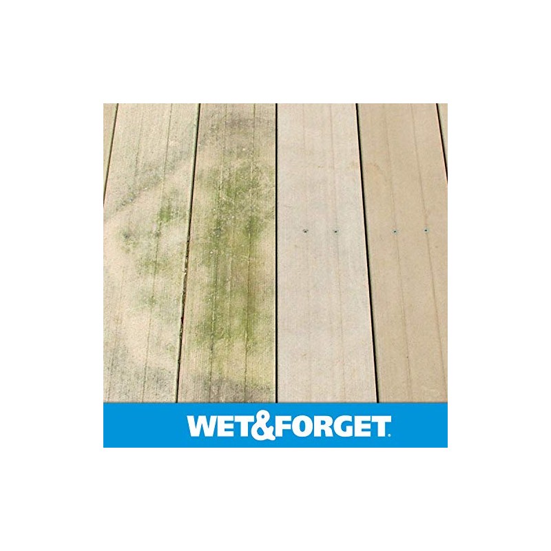 Wet & Forget Moss, Mold, Mildew, & Algae Stain Remover