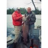 King Salmon Caught on the Kenai River Photo Fish Wildlife
