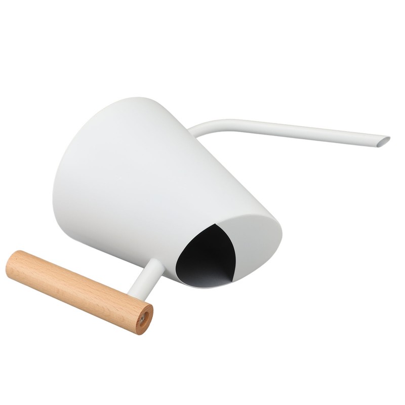 Watering Can with Long Spout 800ml Stainless Steel Matte Indoor