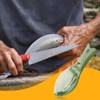 Lotsdonxia Fish Scale Scraper Tool - Transparent Cover Descaler, ABS