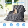 bedsmile Cooling Comforter Queen Size, Q-Max 0.45 Reversible Striped Cooling