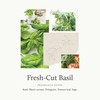 Thymes Hand Wash Refill - Lightly Scented Liquid Hand Soap