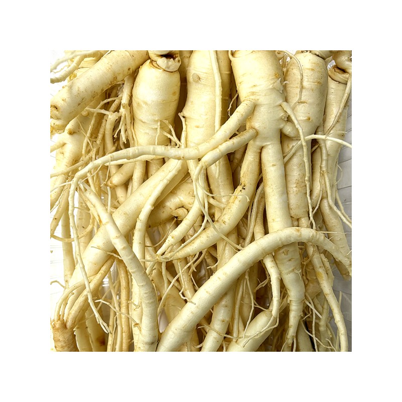 Cheongsal 세척인삼 난발 750g (국산) Washed Ginseng Roots 750g (Korean)