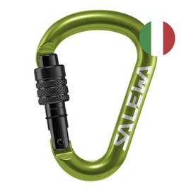 SALEWA Unisex - Adult HMS SCREW G2 Carabiner, Green, Normal