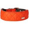 DO&G Silk Expressions Leather and Dog Collar, Pink