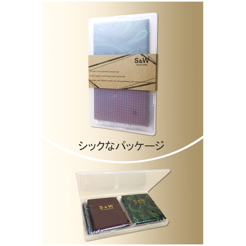 Shlax & Wing 5 Pcs Men's Pocket Square Set Business