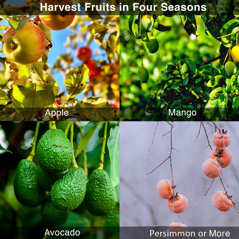 DonSail Pomelo Fruit Picker Pole Tool with Basket Telescoping Long