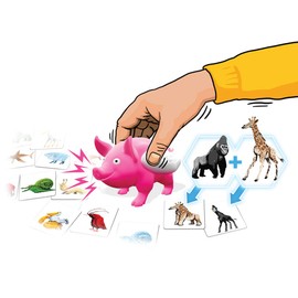 Dream Blossom Pigasus