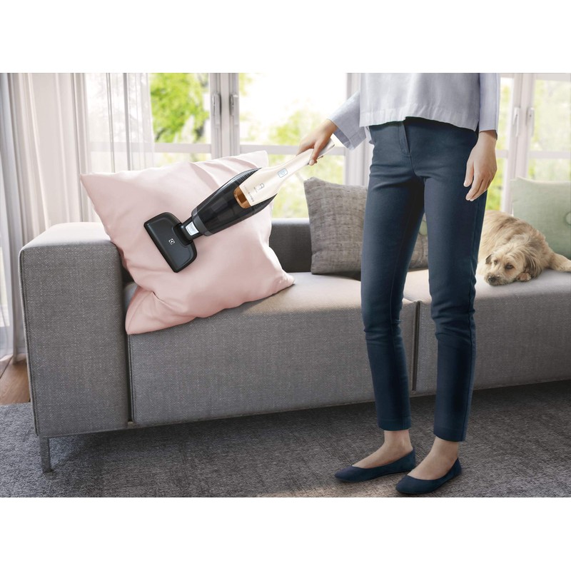 Electrolux ZE134 Electric Suction Brush (Accessory, Nozzle for Ergorapido, Deep