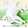 PetGround Cat Postoperative Clothes, Female and Male, Easy to Put