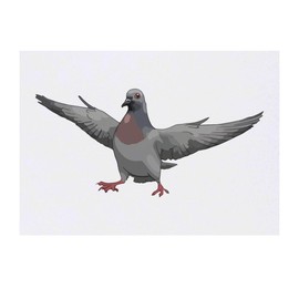 'Pigeon with Attitude' Temporary Tattoo - Water Resistant, Skin-Safe, Non-Toxic Transfer (TO00074875)