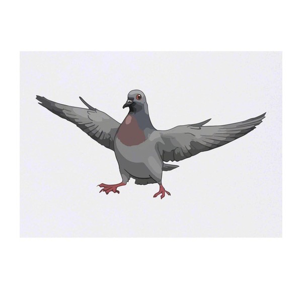 'Pigeon with Attitude' Temporary Tattoo - Water Resistant, Skin-Safe, Non-Toxic