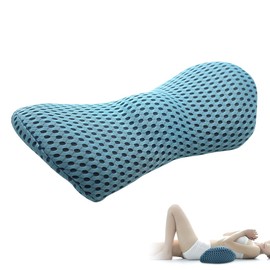 LUPATDY Back Cushion Lumbar Cushion - Lumbar Support Car, Memory Foam Back Support Cushion, Lumbar Cushion for Car Seats, Office Chair, Comfort and Softness (Light Grey with Blue)