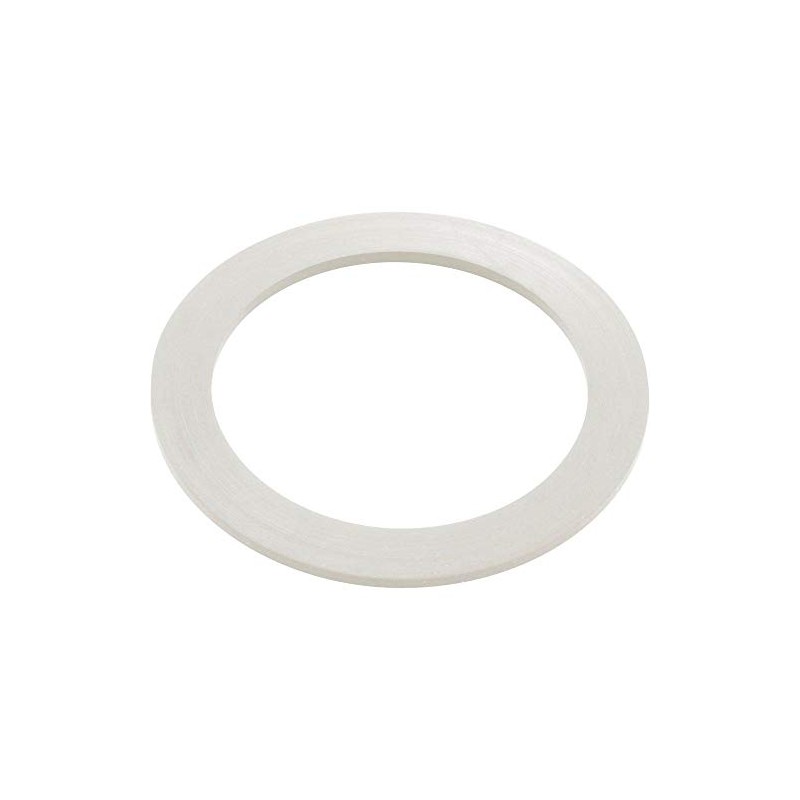 Waterway Plastics 806105124593 2" Heater O-Ring/Gasket