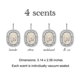 4 x Car Air Freshener Hanging, Valentine's Day Gift, Valentine's Day Gift For Boyfriend, Gift for Girlfriend, Gift for Couple, New Car Mirror Hanging, 4 Scents (Let's Do This)