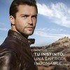 L'Bel Impetus Parfum/Perfume 100 ml / 3.3 fl.oz.