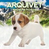 Arquivet Solid Rubber Ball 6.5 cm - Toy and Accessories