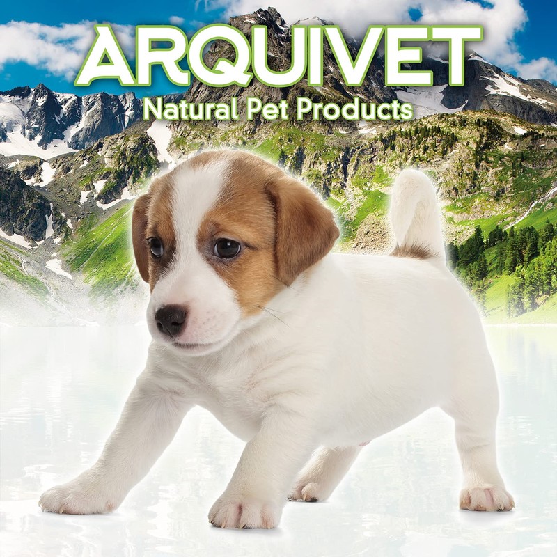 Arquivet Solid Rubber Ball 6.5 cm - Toy and Accessories