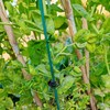 TIHOOD 200PCS/Set Bamboo Plant Stakes Kit, 50PCS Orchid Clips with