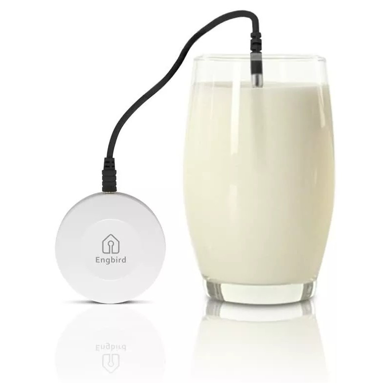 Inkbird IBS-TH1 Thermometer Hygrometer Wireless Temperature Recorder Bluetooth