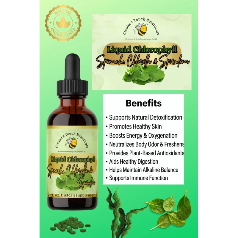 Creator's Touch Supplements Liquid Chlorophyll 2oz – Detox & Energy