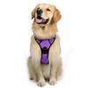 rabbitgoo Dog Harness, No-Pull Pet Harness with 2 Leash Clips,