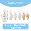 SUPERFINDINGS 60Pcs 6 Styles Conch Seashell Charms Spiral Beach Shell