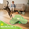 IOKHEIRA Interactive Cat Toy, Touch-Activated, Hidden Feather, Realistic Mouse Squeaking