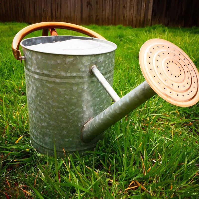 Plexon 2 Gallon Copper/Silver Galvanized Steel Watering Can, 9.5" D