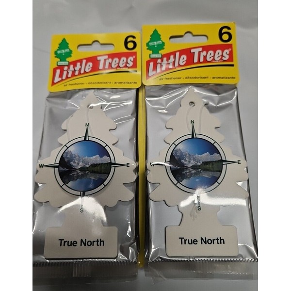 Little Trees 24 Little Trees True North Hanging Air Freshener
