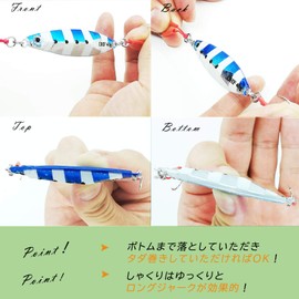 OHF Metal Jig Set 10g 15g 20g 30g 40g Throw Jigging with Assist Hook (Set of 10 g)