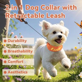 BillionChains 2 in 1 Dog Collar with Retractable Puppy Collar and Leash Adjustable Puppy Collars for Small Dogs