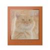 Venus Marble Eyeshadow Cat Series (Brown Tiger Cat) 1pc (x1)