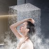 Hiendure Rain Shower Head, 16 Inch High Pressure Stainless Steel