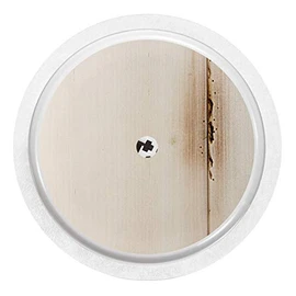 Wooden Shabby Sticker for FreeStyle Libre Sensor