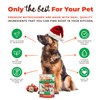 NutriChomps Dog Chews, 5 inch Twists, Mint Flavor, 10 Count,