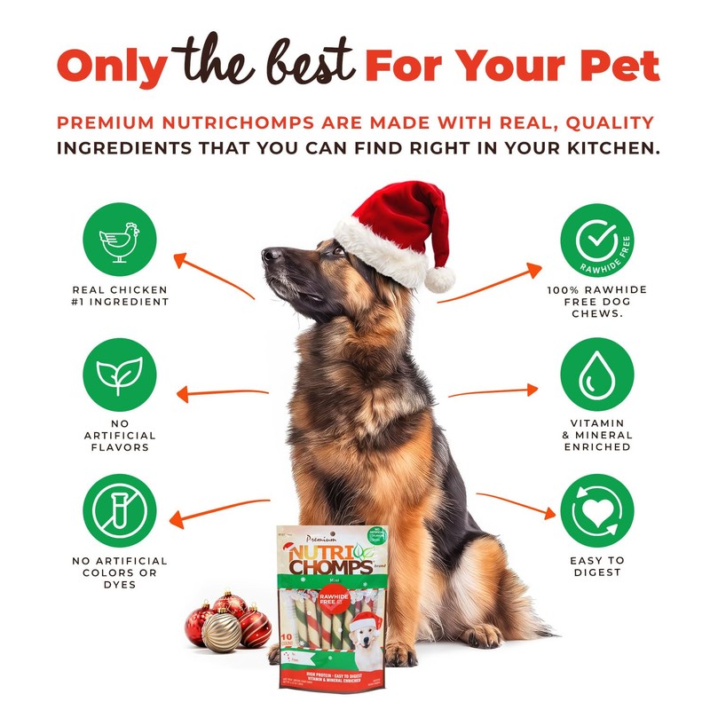 NutriChomps Dog Chews, 5 inch Twists, Mint Flavor, 10 Count,